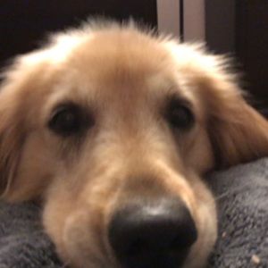 Meet your Posher, Sabrina